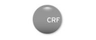 Centro Ricerche FIAT and CustoM 2.0